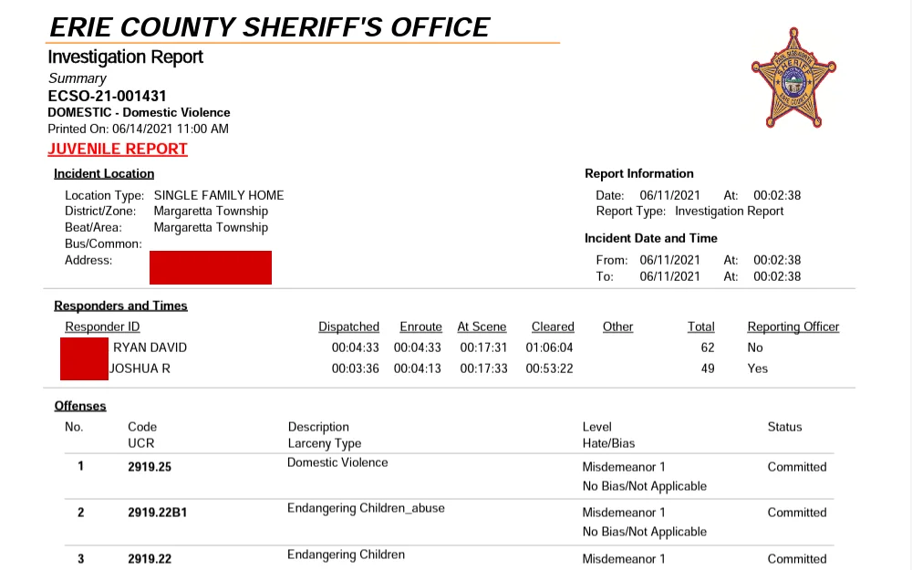 A screenshot of the PDF that yields an incident report with more information, including a record of any arrests made at the time.