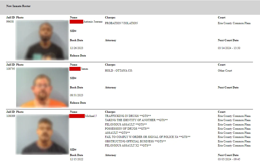 Screenshot of the inmate roster from Erie County Sheriff’s Office displaying the inmates' mugshots, jail IDs, names, booking dates, charges, courts, and new court dates.