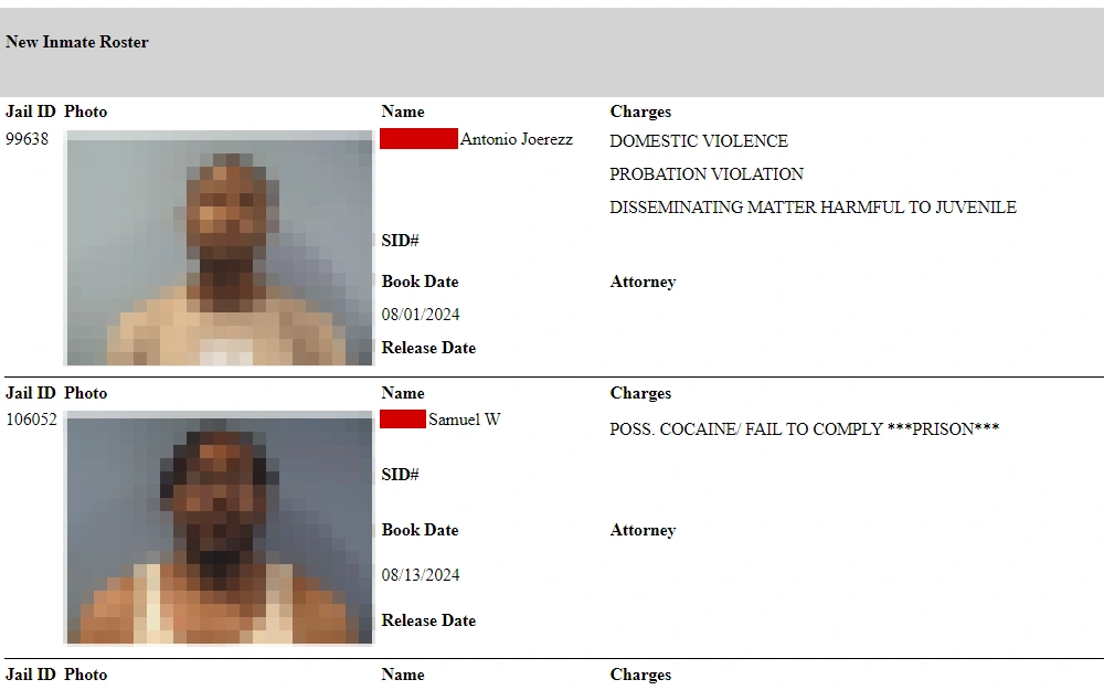 A screenshot from the sheriff's office of Erie County displays a part of the inmate roster, including mugshots, jail ID number, full name, book date, and list of charges.